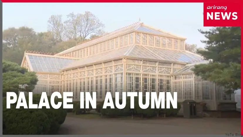 Autumn at Changgyeonggung: music by day, light by night